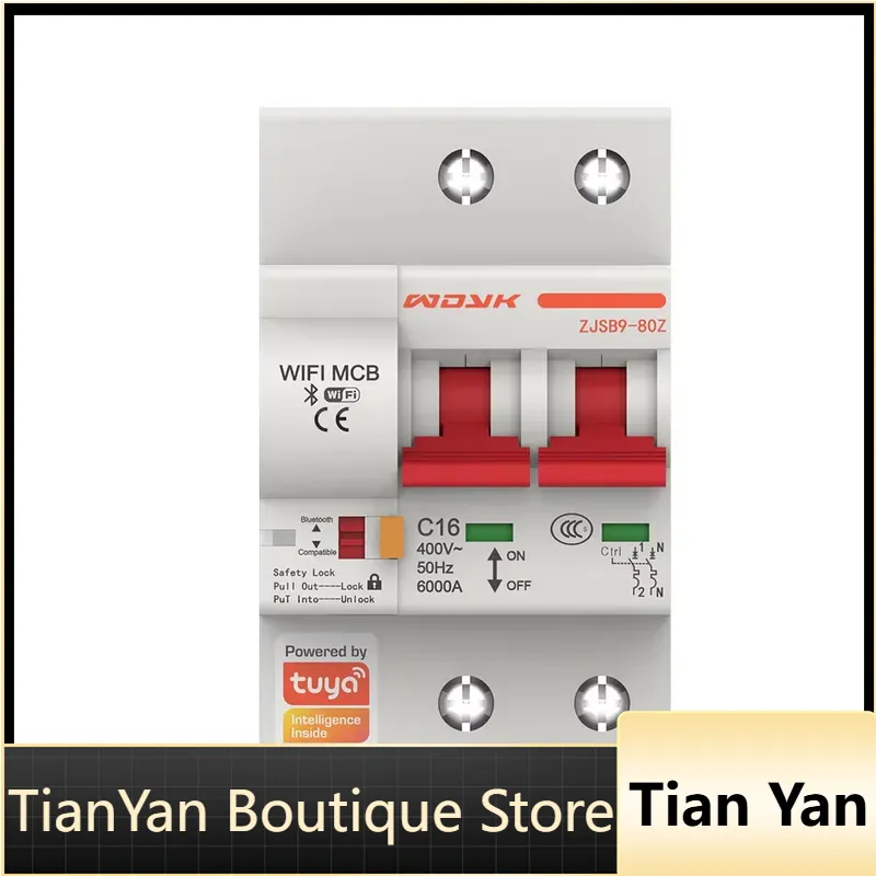 Smart Home Control - Tuya WiFi용 EE1 2극 MCB 미니어처