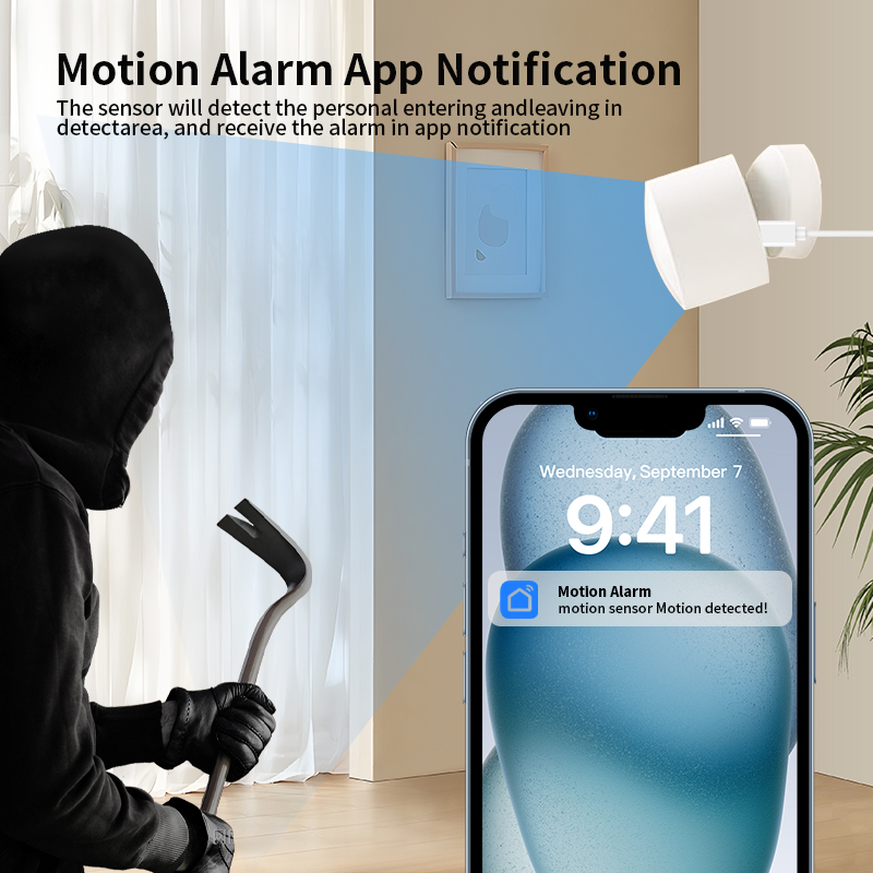 원격 모니터링 및 스마트 홈 자동화를 위해 Tuya S - Smart Home Monitor 리뷰 및 가격