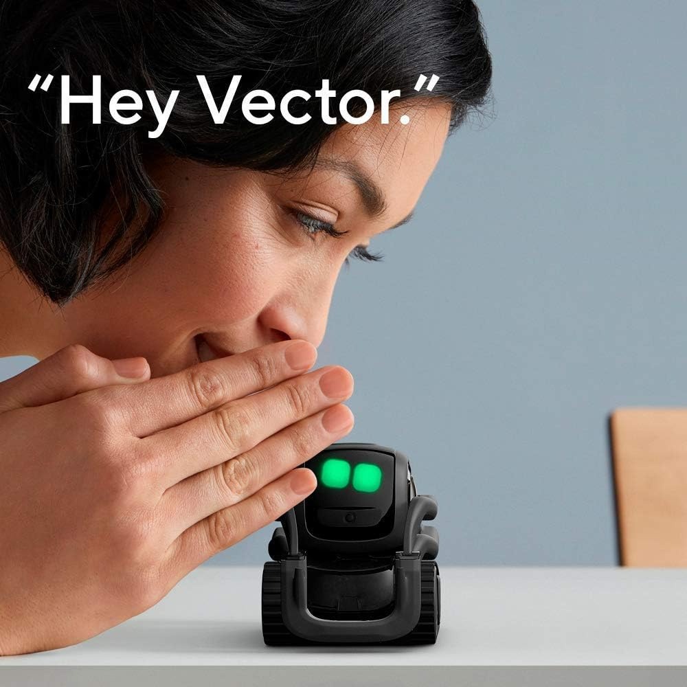 AI ChatGPT 2.0 연결형 로봇 동반자, 얼굴  - Smart Home Control 리뷰 및 가격