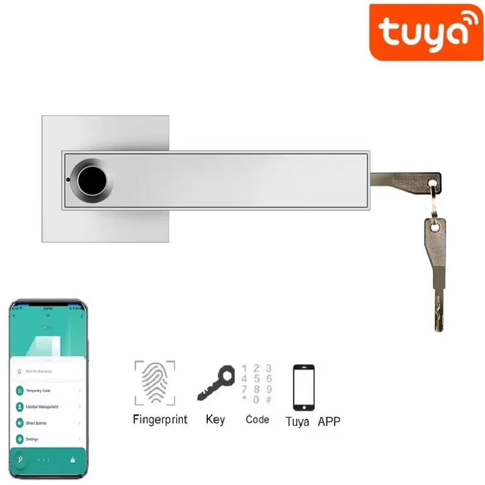 블루투스 호환 Tuya 앱이 포함된 새로운 스마트 도어 - Smart Home For Windows 리뷰 및 가격