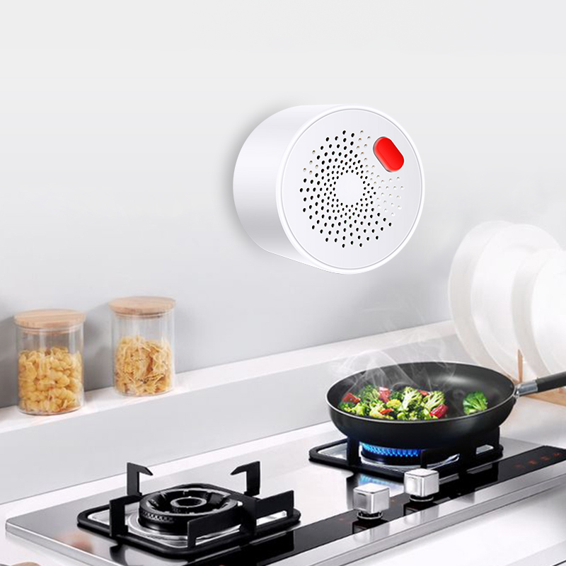 Tuya 스마트 홈 와이파이 천연 가스 센서, 가연성  - Smart Home Network 리뷰 및 가격