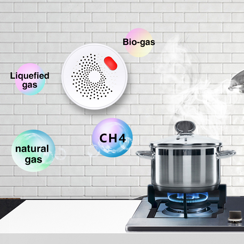 Tuya 스마트 홈 와이파이 천연 가스 센서, 가연성  - Smart Home Network 리뷰 및 가격