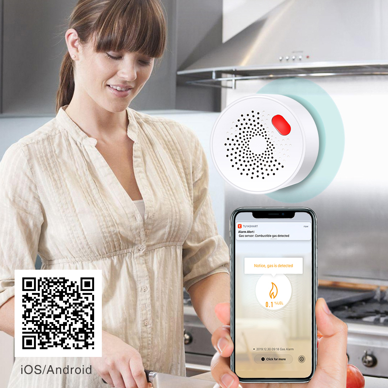 Tuya 스마트 홈 와이파이 천연 가스 센서, 가연성  - Smart Home Network 리뷰 및 가격